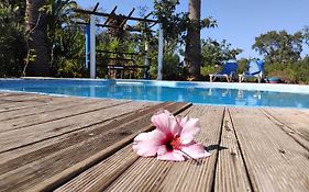 Quinta Do Paraiso